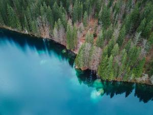 Anja Strojan - Na obrobju jezera